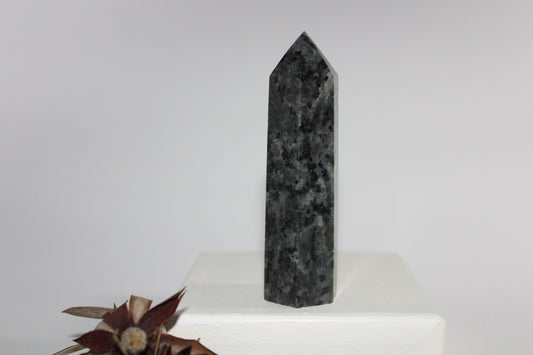 Generator - Larvikite (Black Moonstone) - med