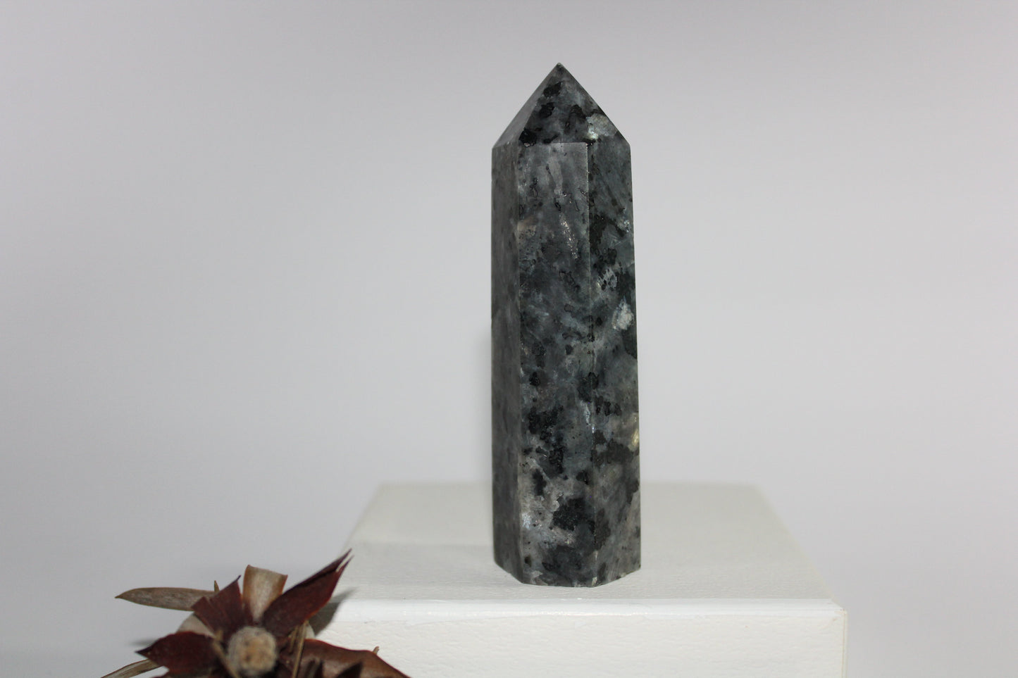 Generator - Larvikite (Black Moonstone) - med
