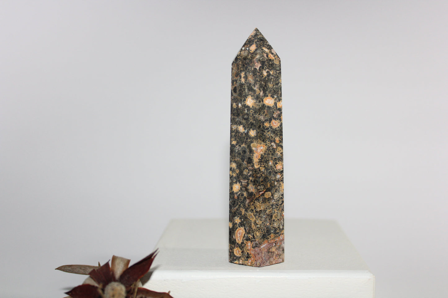 Generator - Leopard Skin Jasper - med