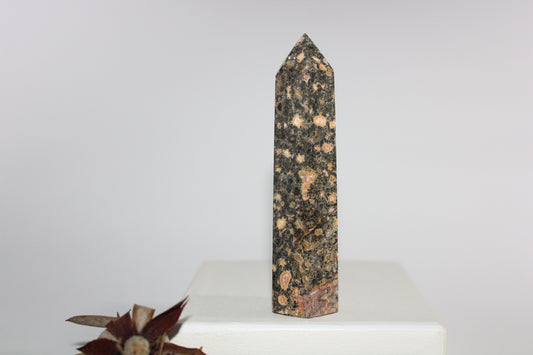 Generator - Leopard Skin Jasper - med