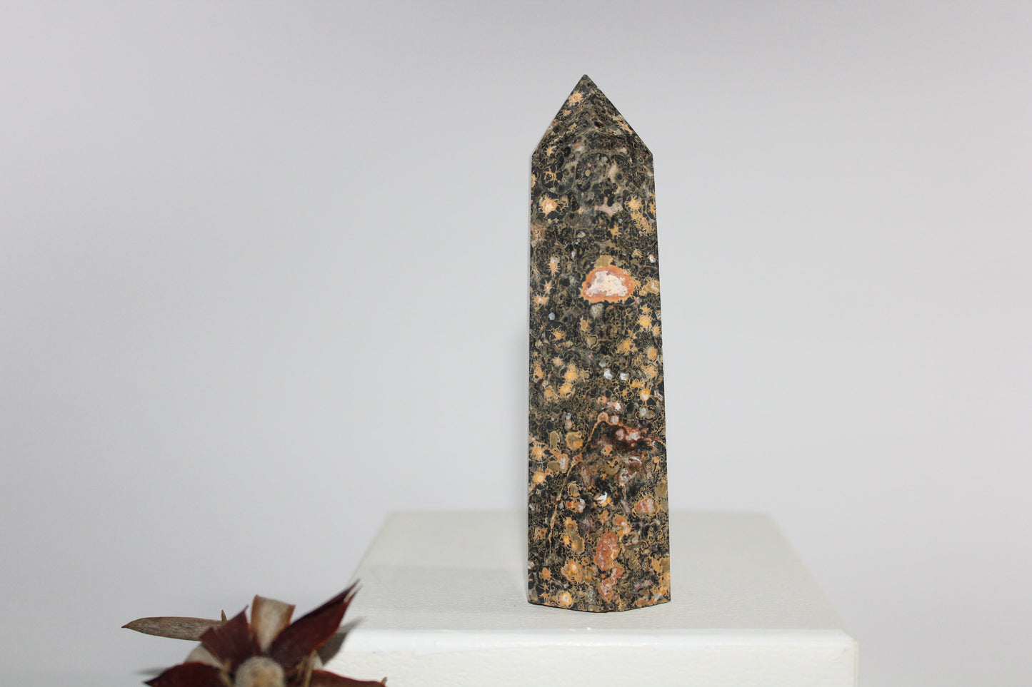 Generator - Leopard Skin Jasper - med