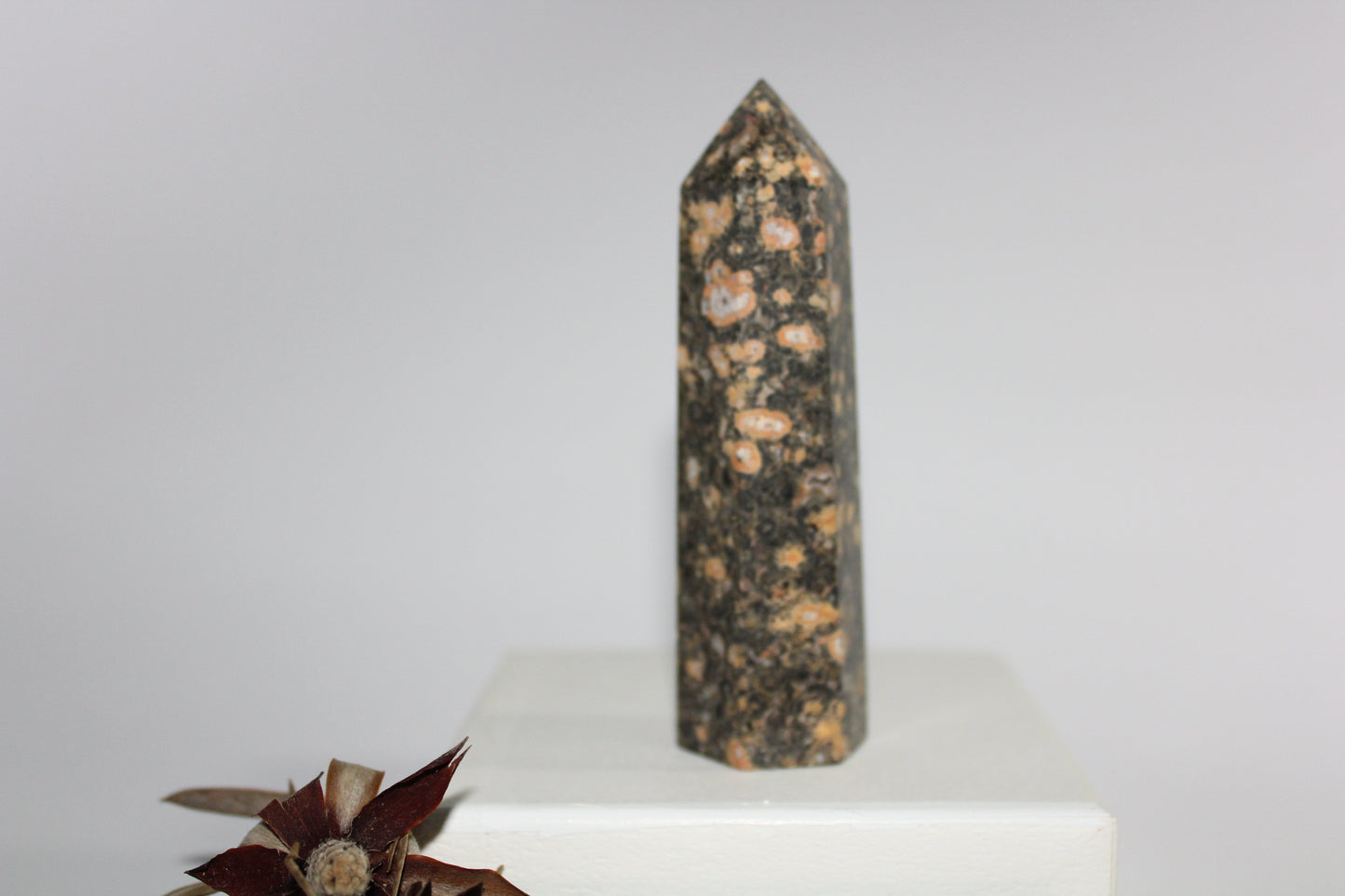 Generator - Leopard Skin Jasper - med
