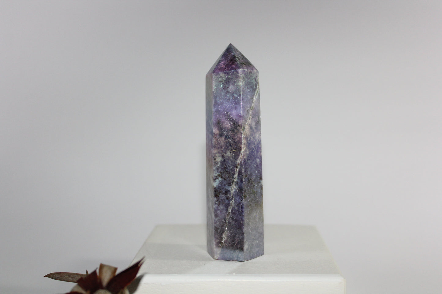 Generator - Lepidolite - aura coated - lge