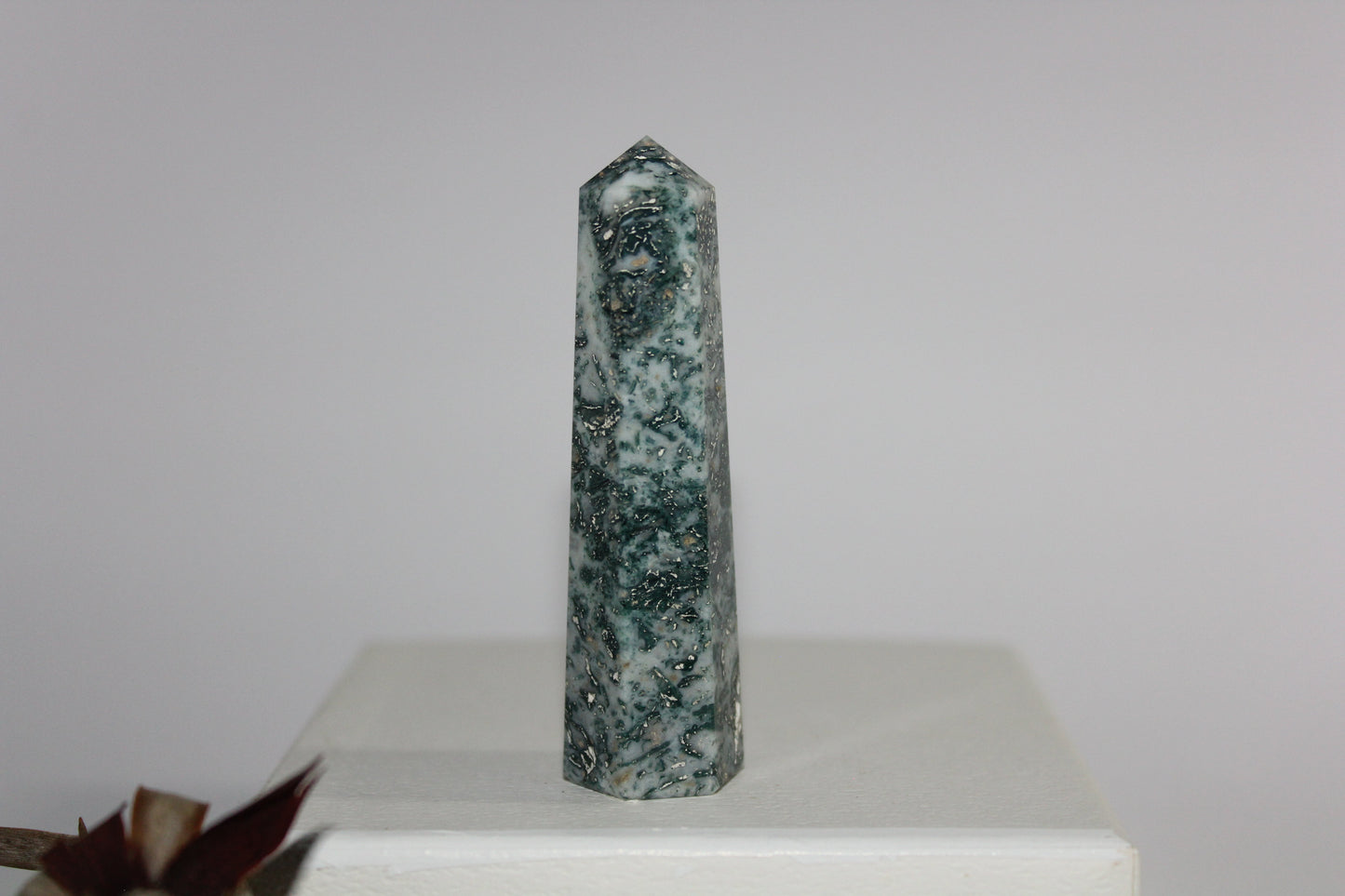 Generator - Tree Agate - sml/med