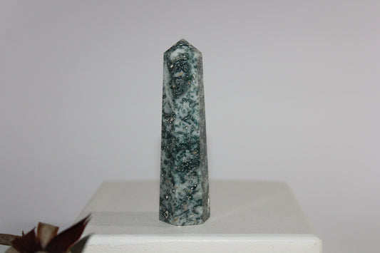 Generator - Tree Agate - sml/med