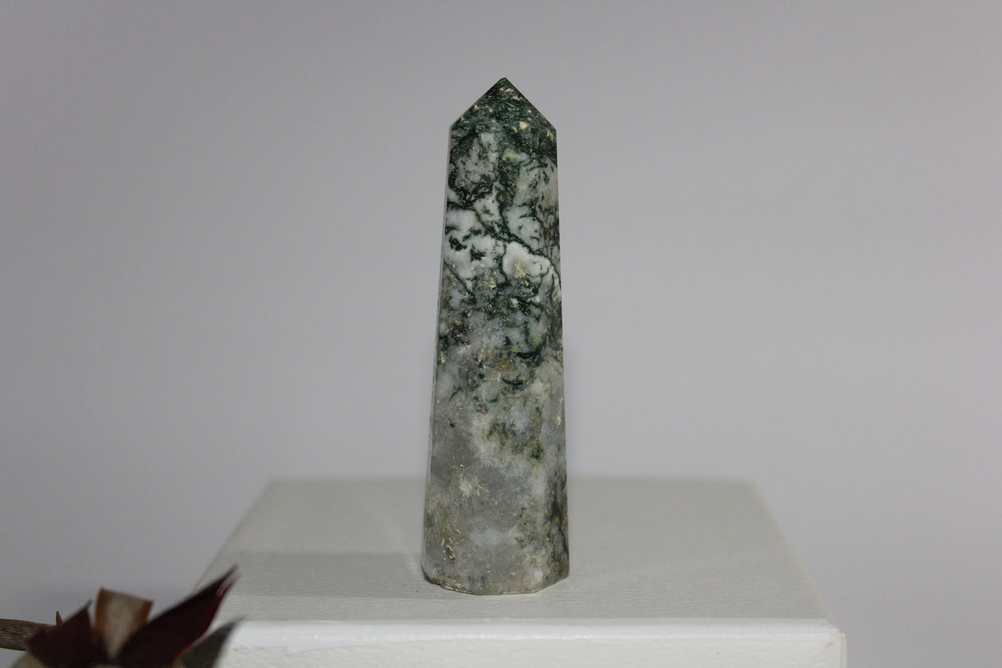 Generator - Tree Agate - sml/med