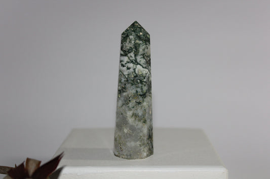 Generator - Tree Agate - sml/med