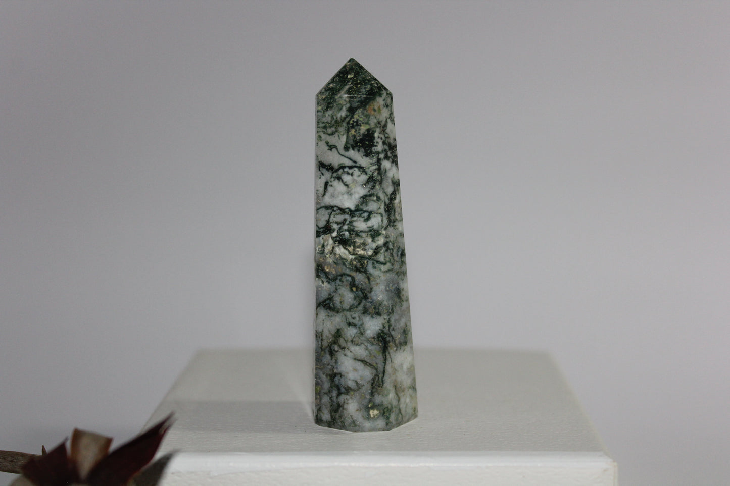 Generator - Tree Agate - sml/med