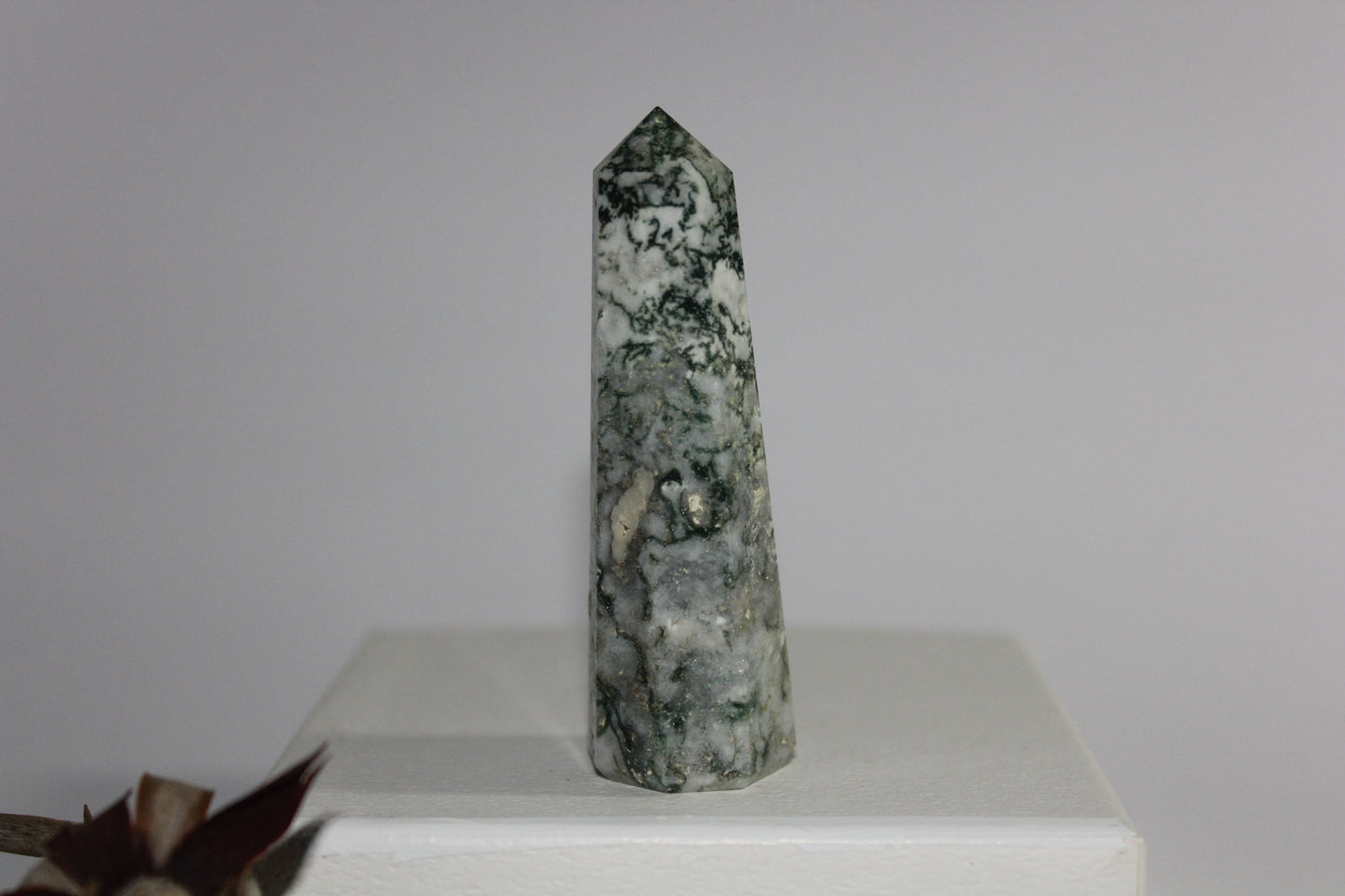 Generator - Tree Agate - sml/med