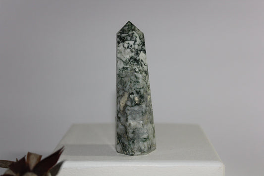 Generator - Tree Agate - sml/med