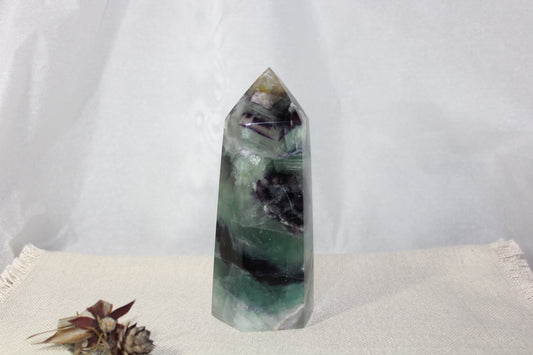 Generator - Fluorite - xxlge