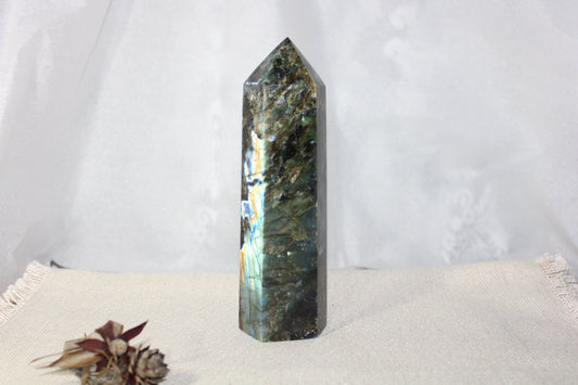 Generator - Labradorite - xxlge