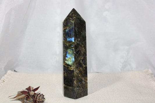 Generator - Labradorite - xxlge