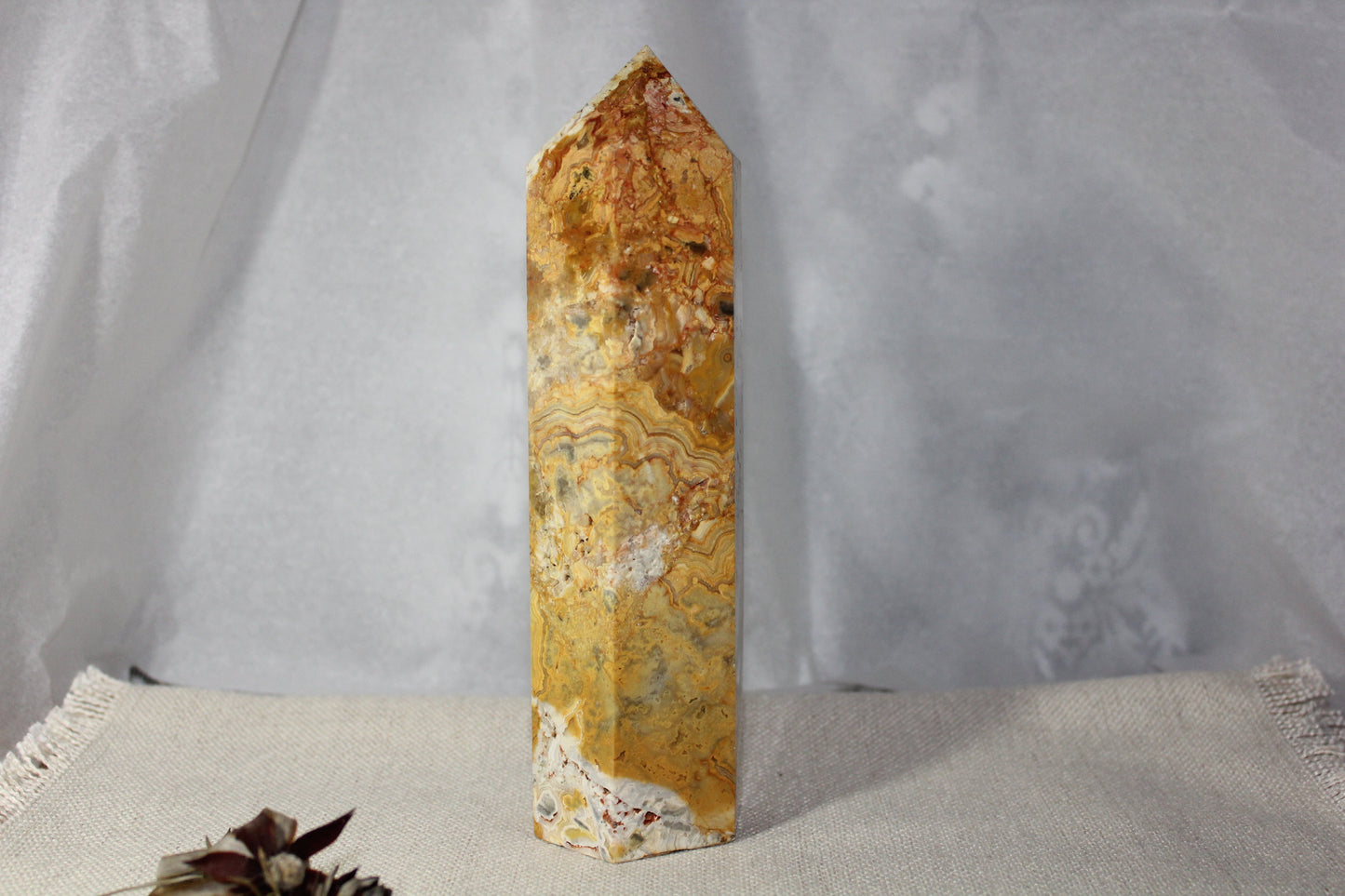 Generator - Crazy Lace - xxlge