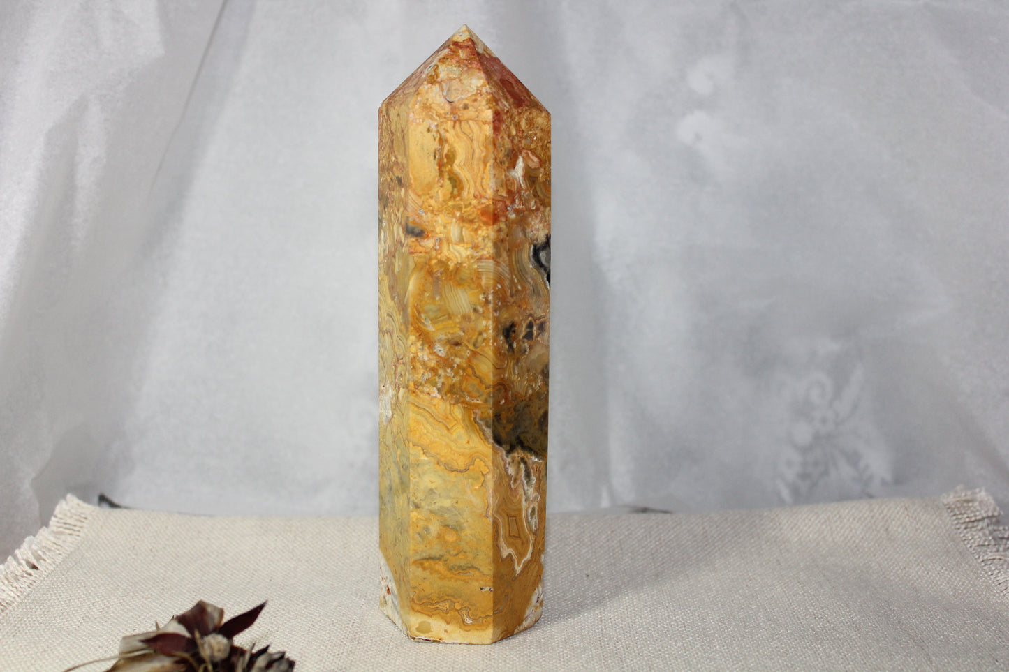 Generator - Crazy Lace - xxlge