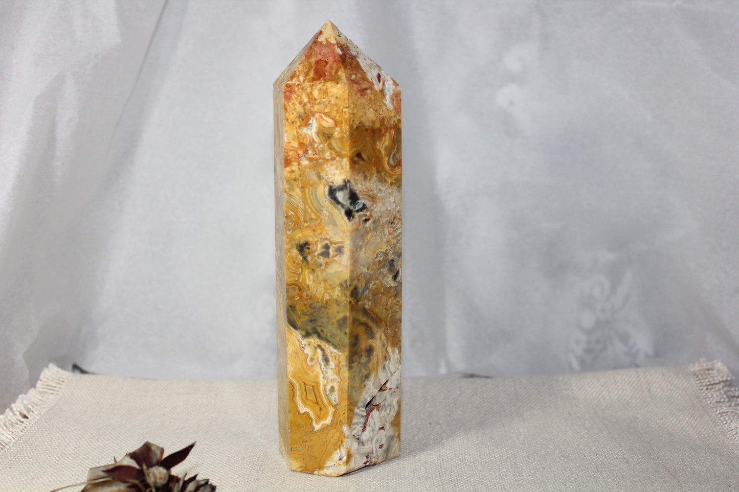 Generator - Crazy Lace - xxlge