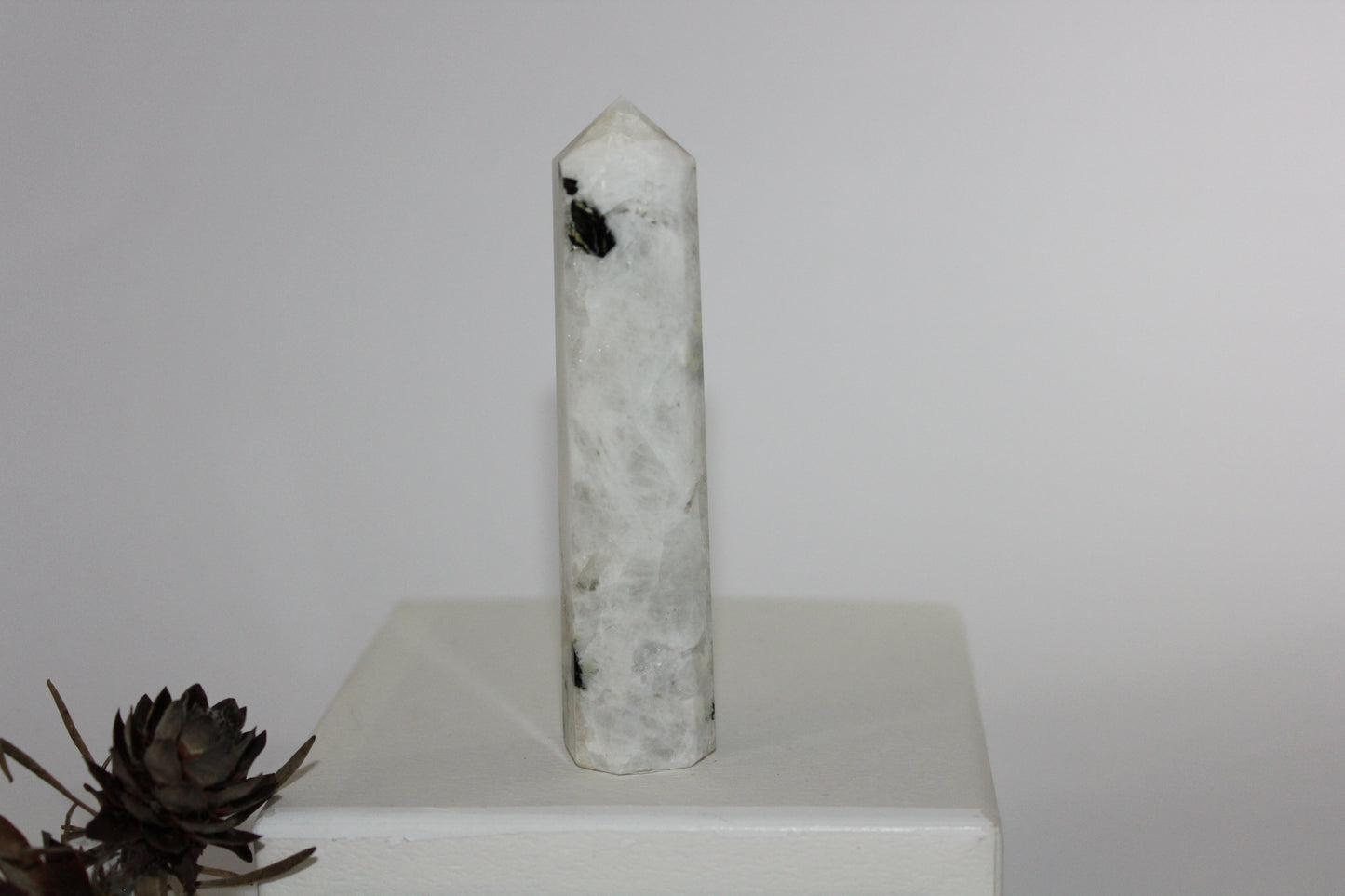 Generator - Moonstone - med