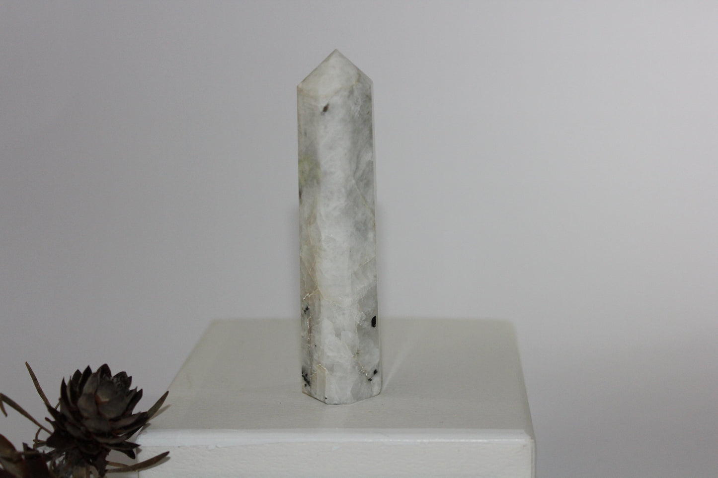 Generator - Moonstone - med