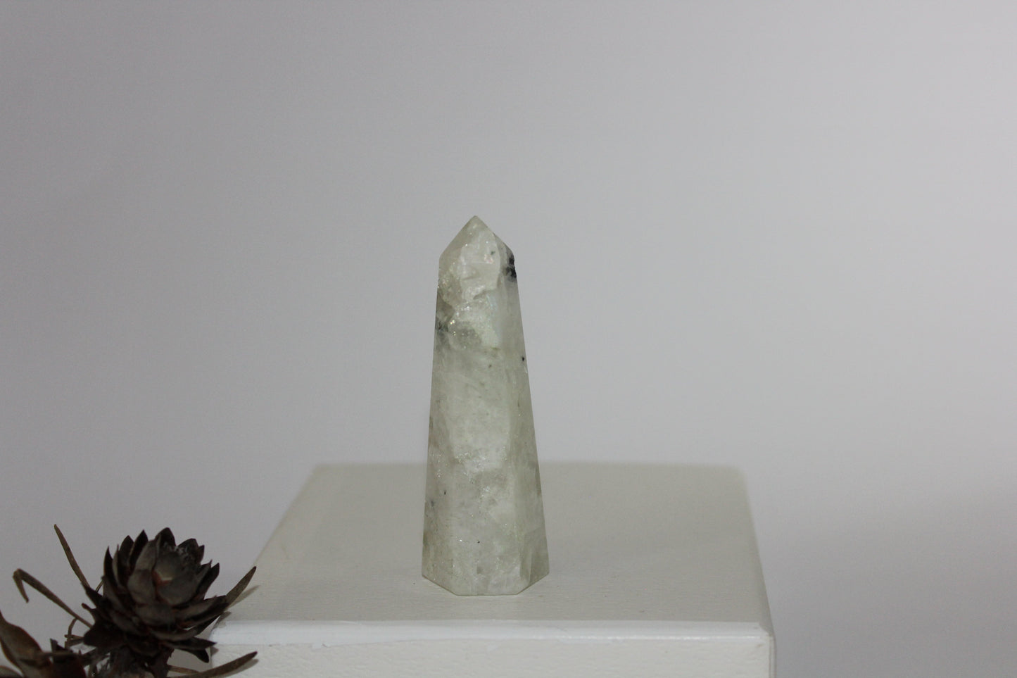 Generator - Moonstone - med