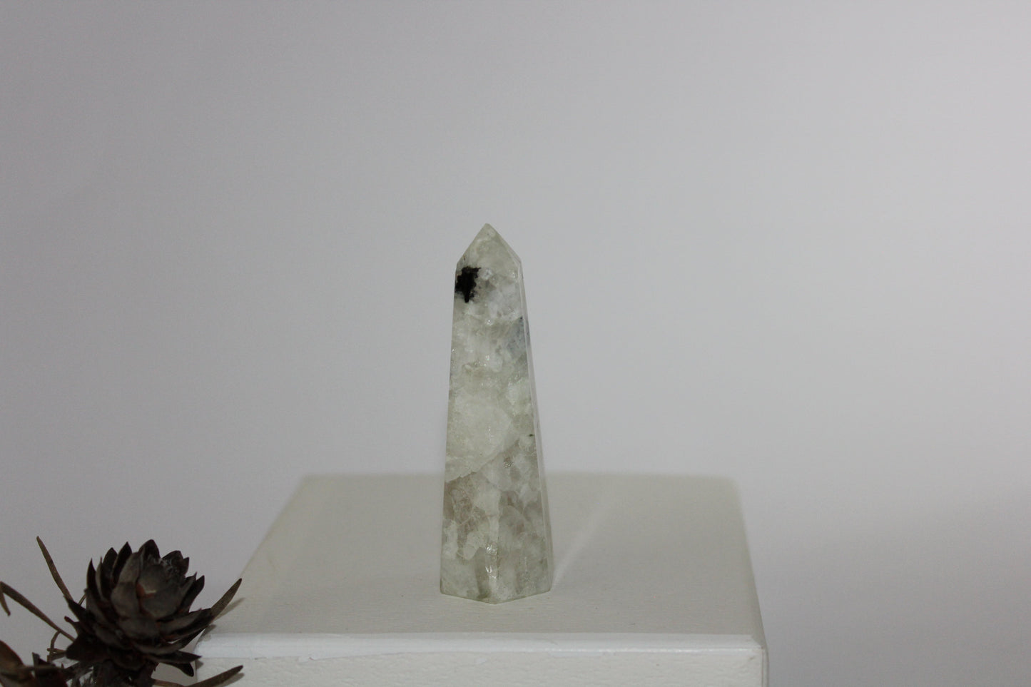 Generator - Moonstone - med