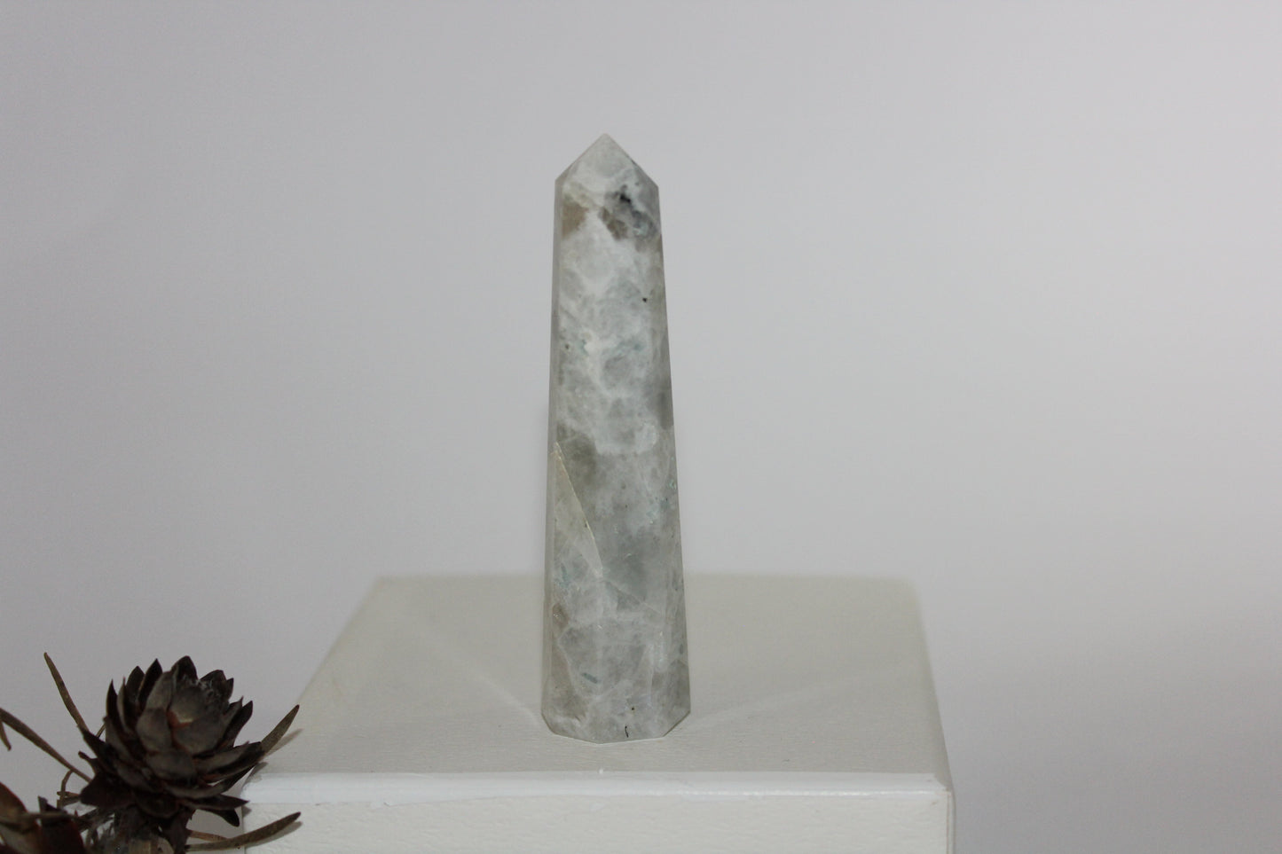 Generator - Moonstone - med