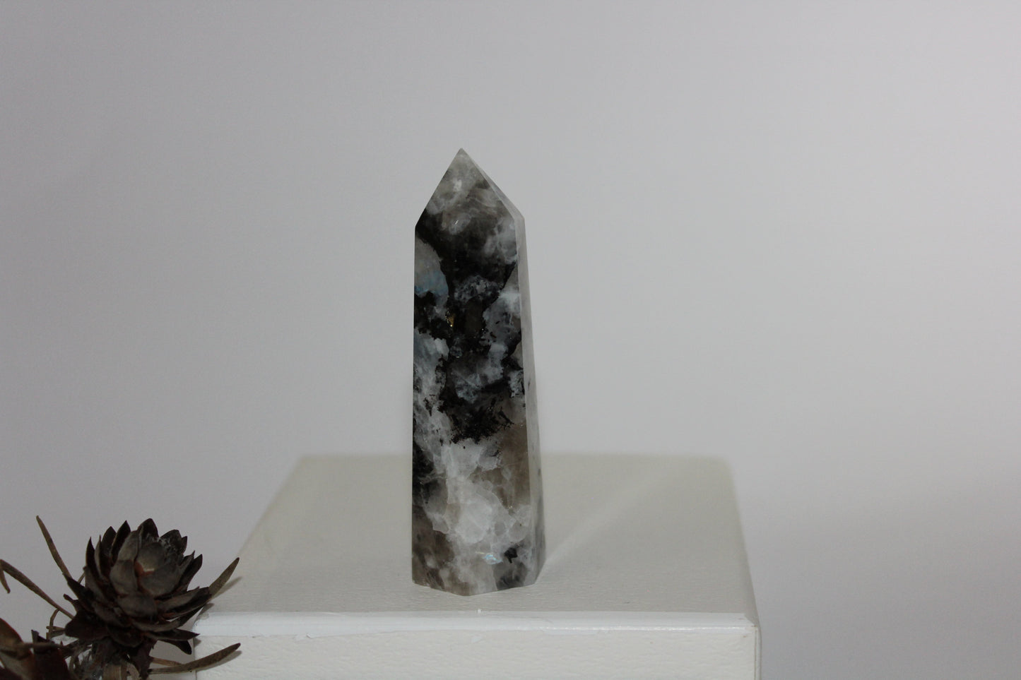 Generator - Moonstone - med