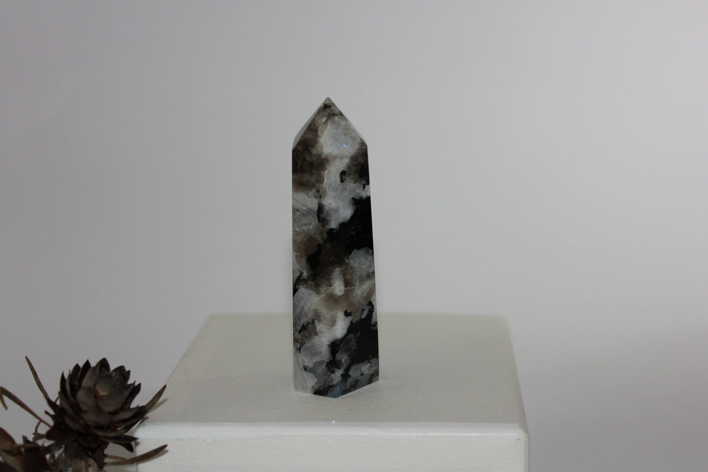 Generator - Moonstone - med