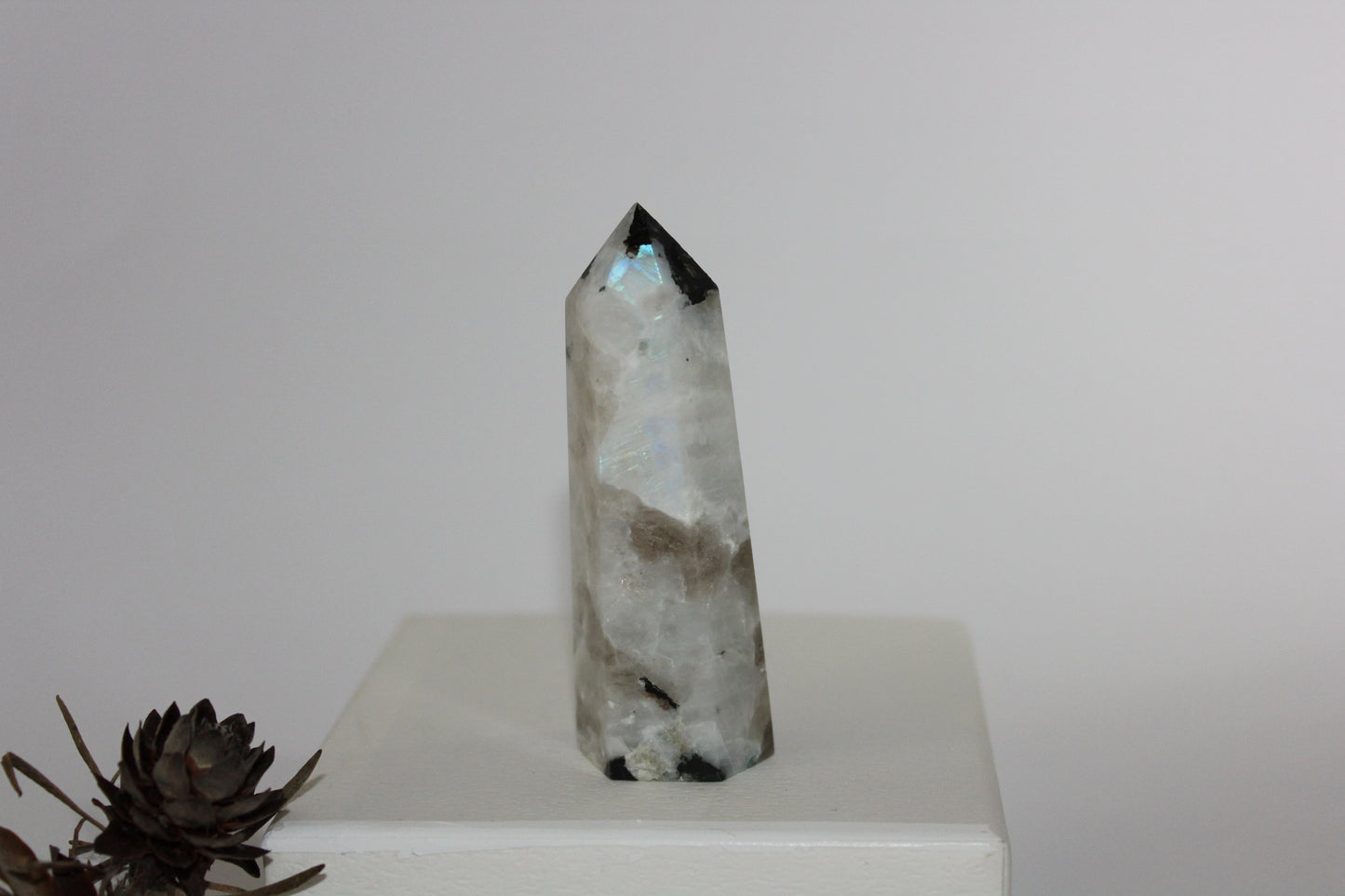 Generator - Moonstone - med