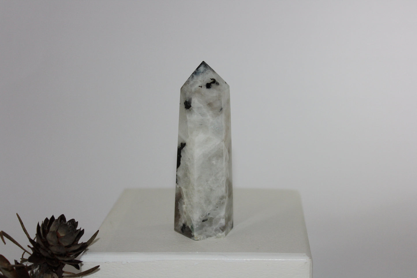 Generator - Moonstone - med