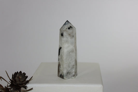 Generator - Moonstone - med