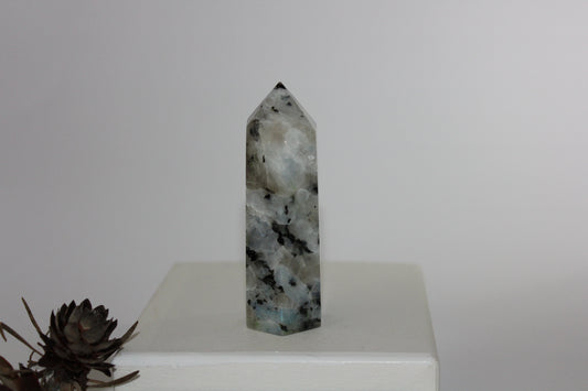 Generator - Moonstone - med/lge