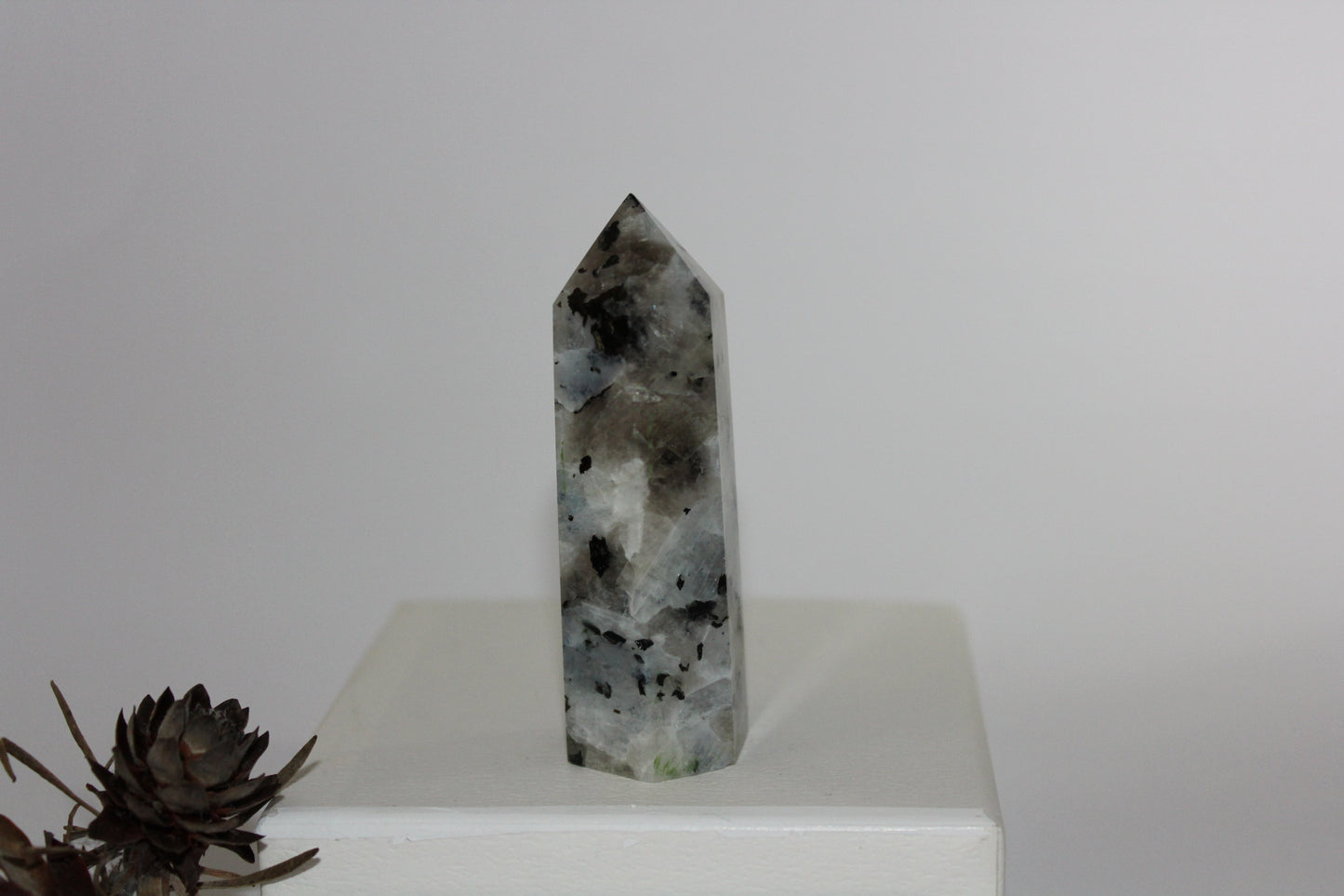 Generator - Moonstone - med/lge