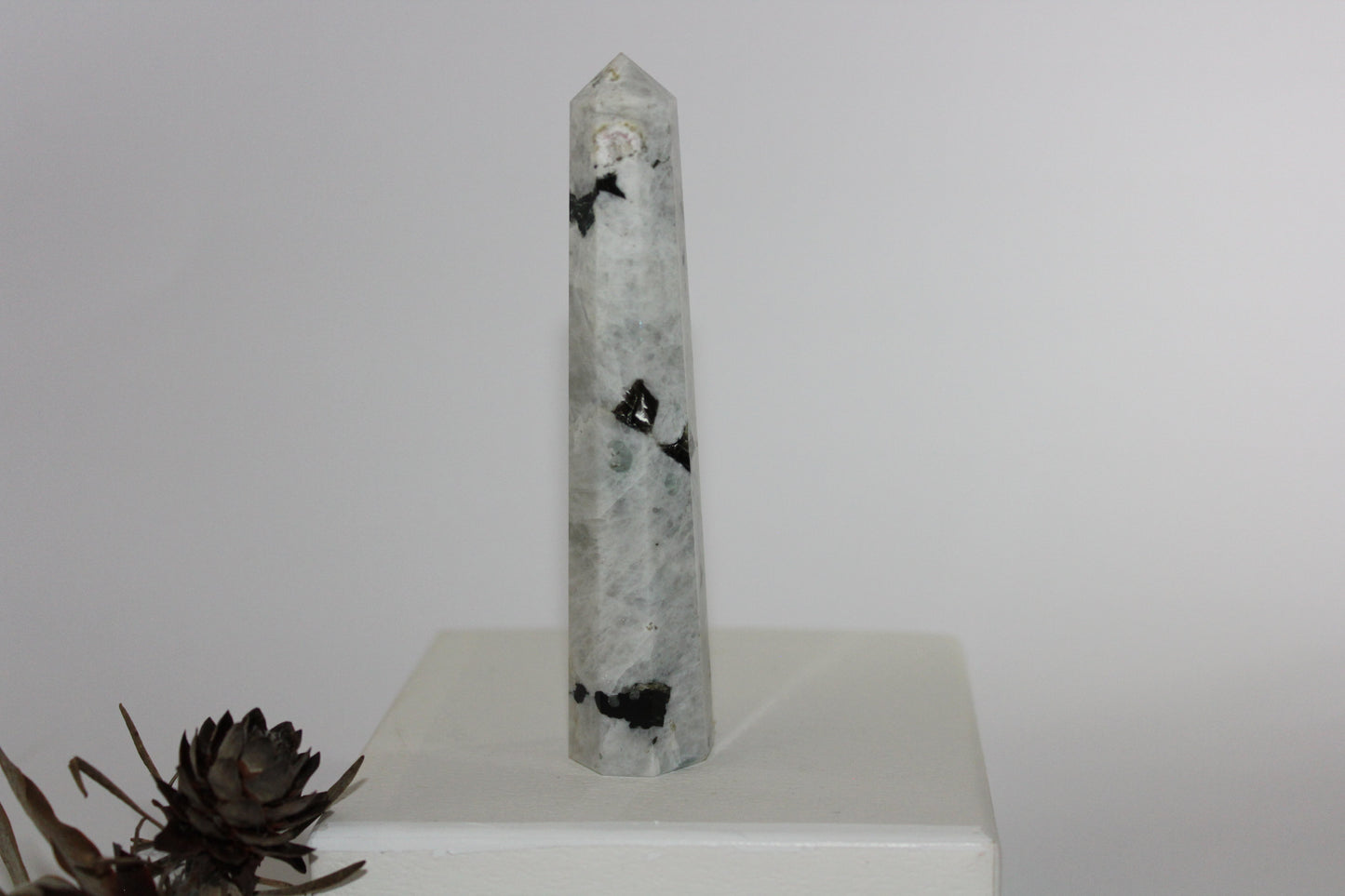 Generator - Moonstone - lge