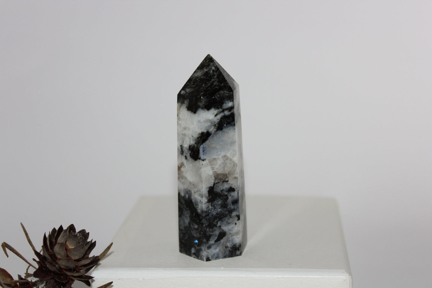 Generator - Moonstone - lge