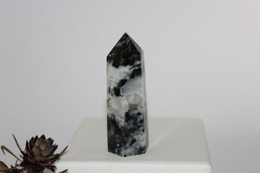 Generator - Moonstone - lge