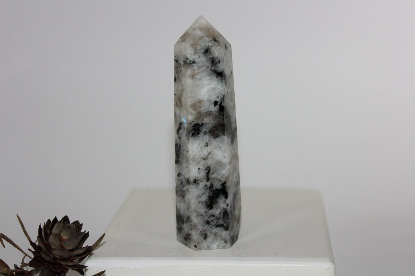 Generator - Moonstone - lge