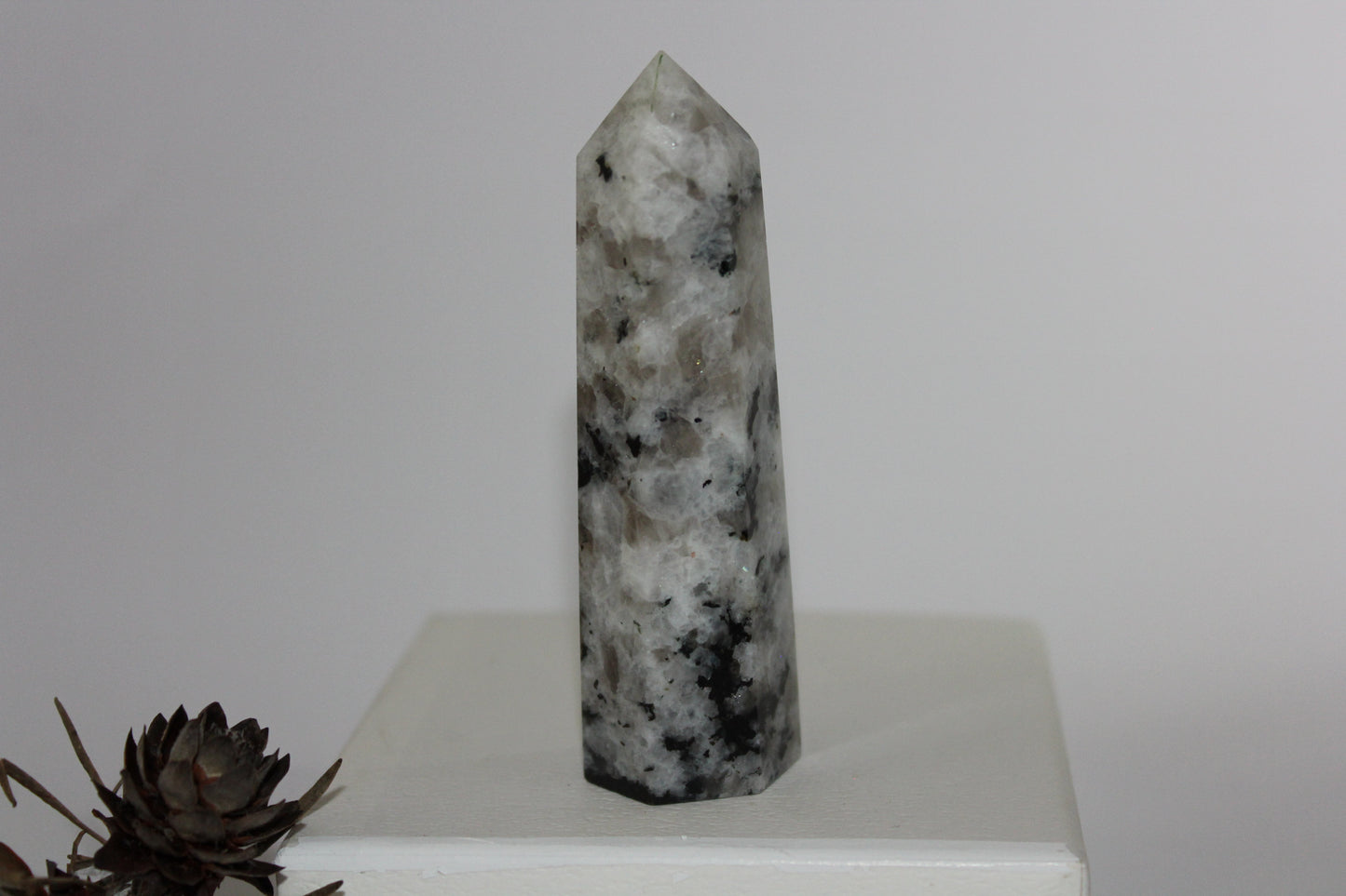 Generator - Moonstone - lge