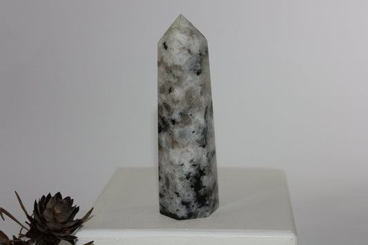 Generator - Moonstone - lge