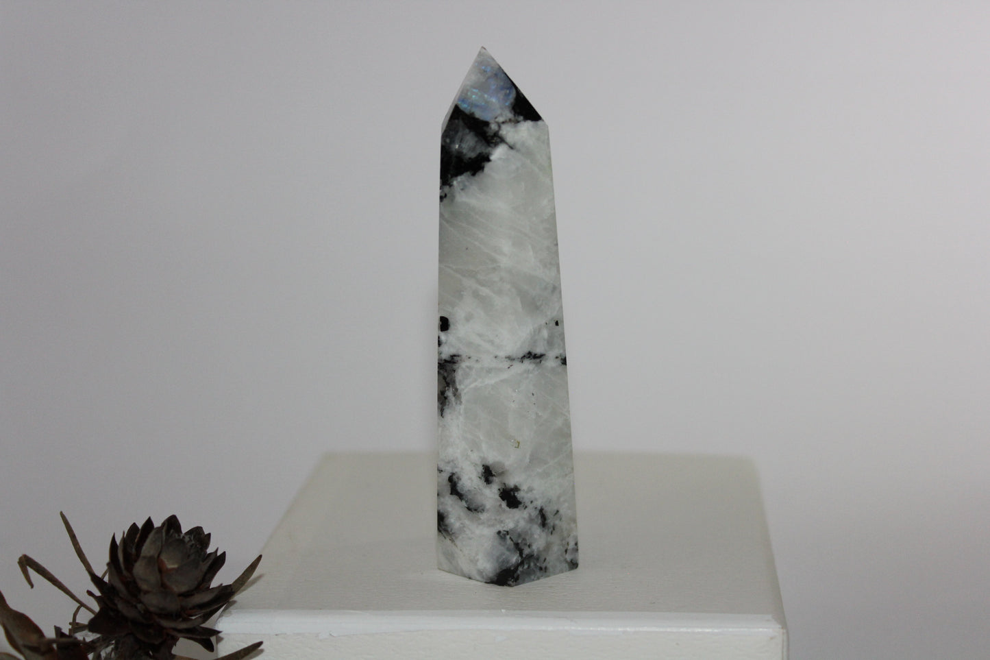 Generator - Moonstone - lge