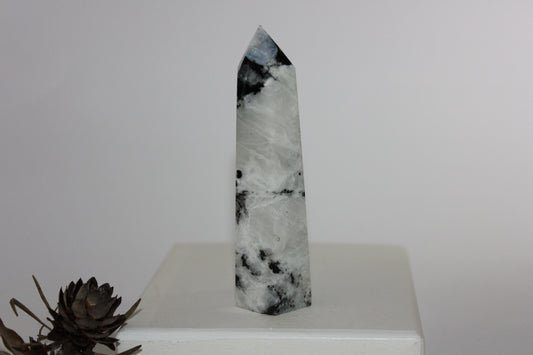 Generator - Moonstone - lge