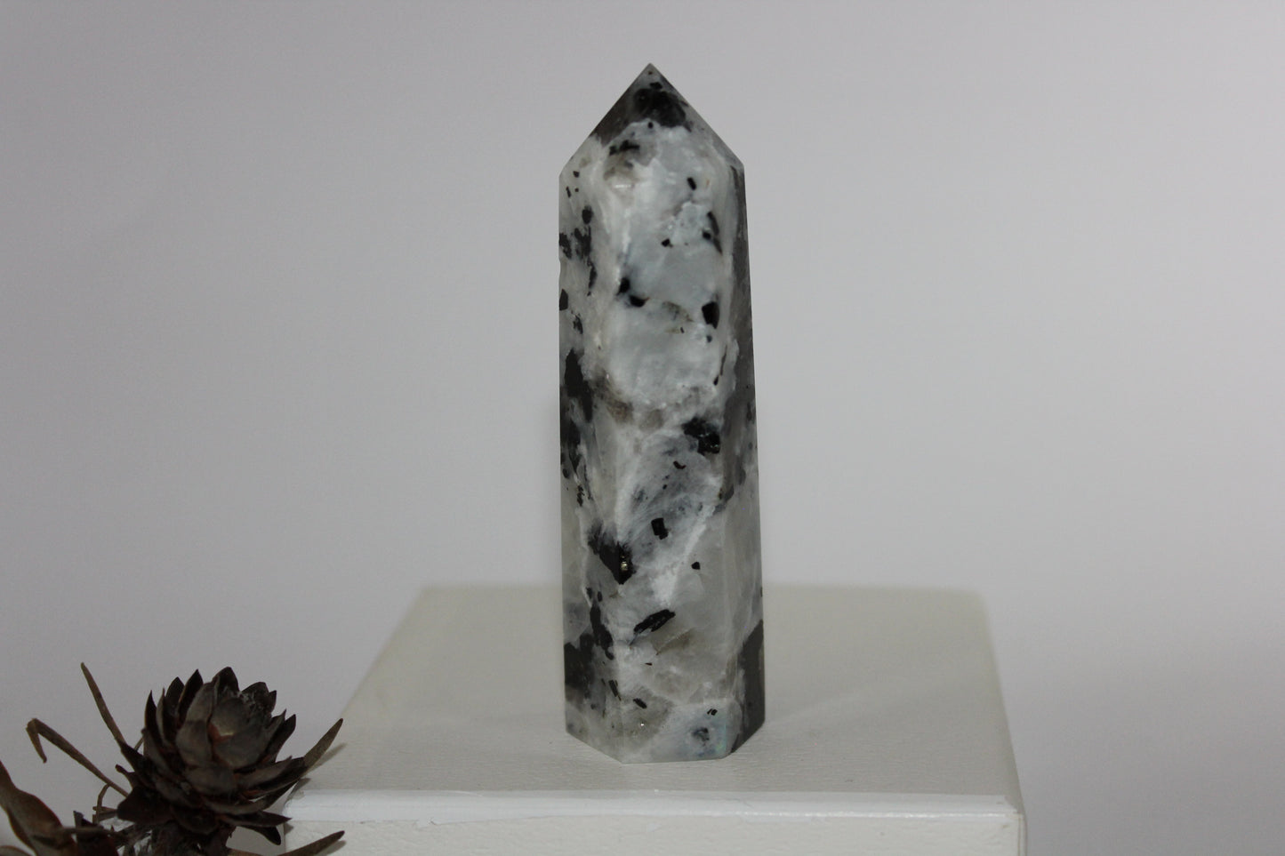 Generator - Moonstone - lge