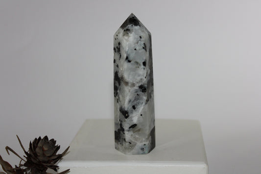 Generator - Moonstone - lge