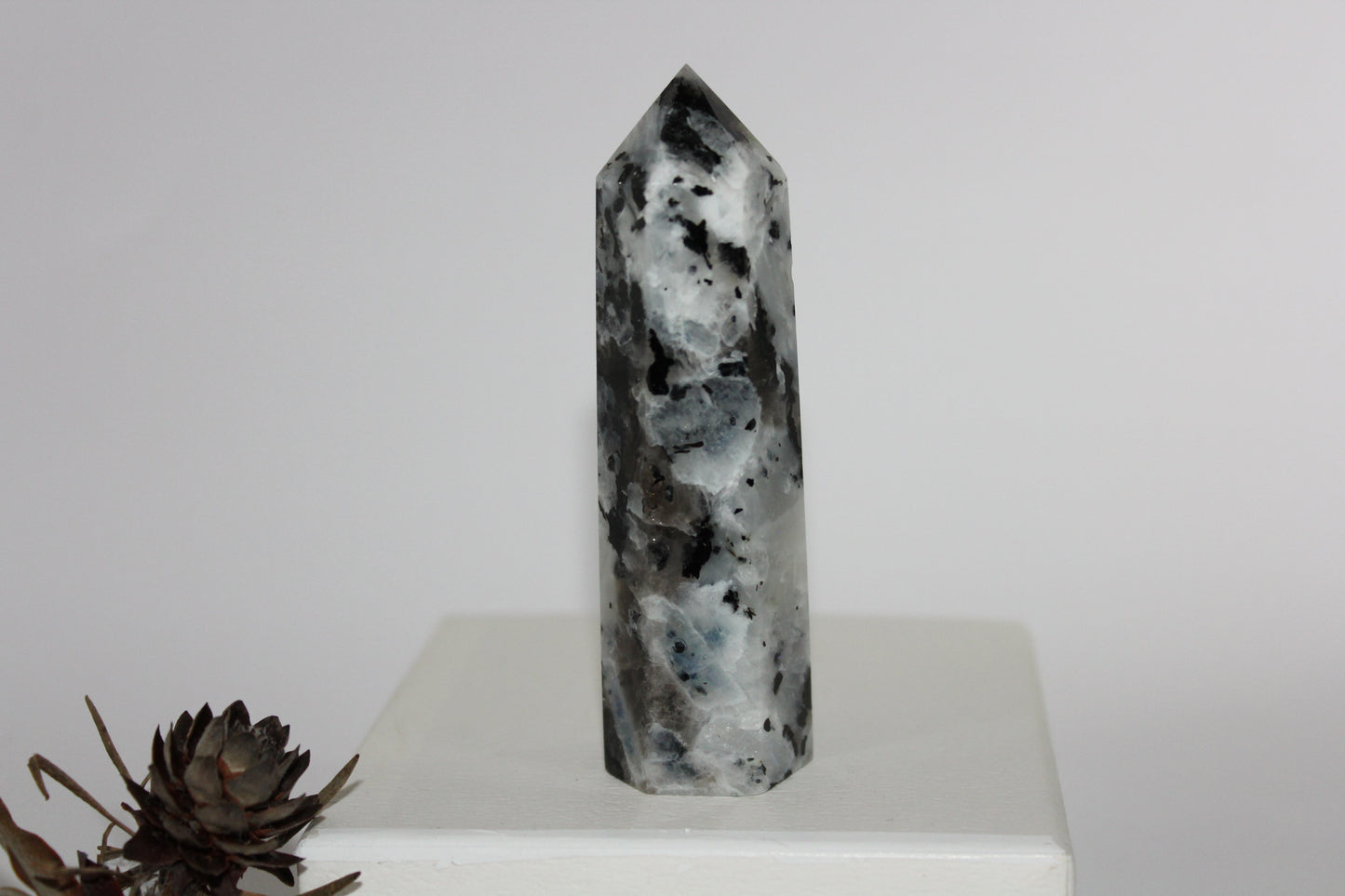 Generator - Moonstone - lge