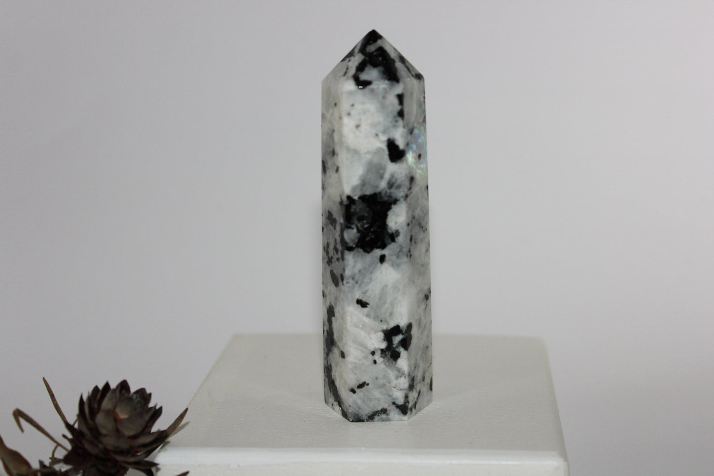 Generator - Moonstone - lge