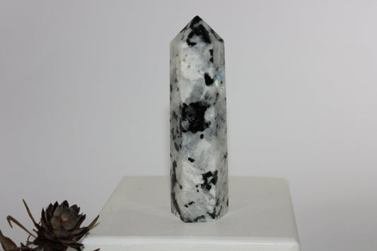 Generator - Moonstone - lge