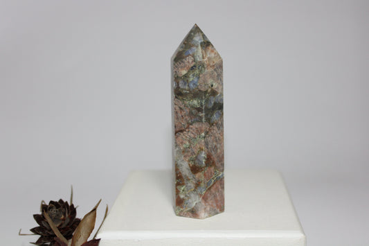 Generator - Que Sera (Vulcanite) - med/lge