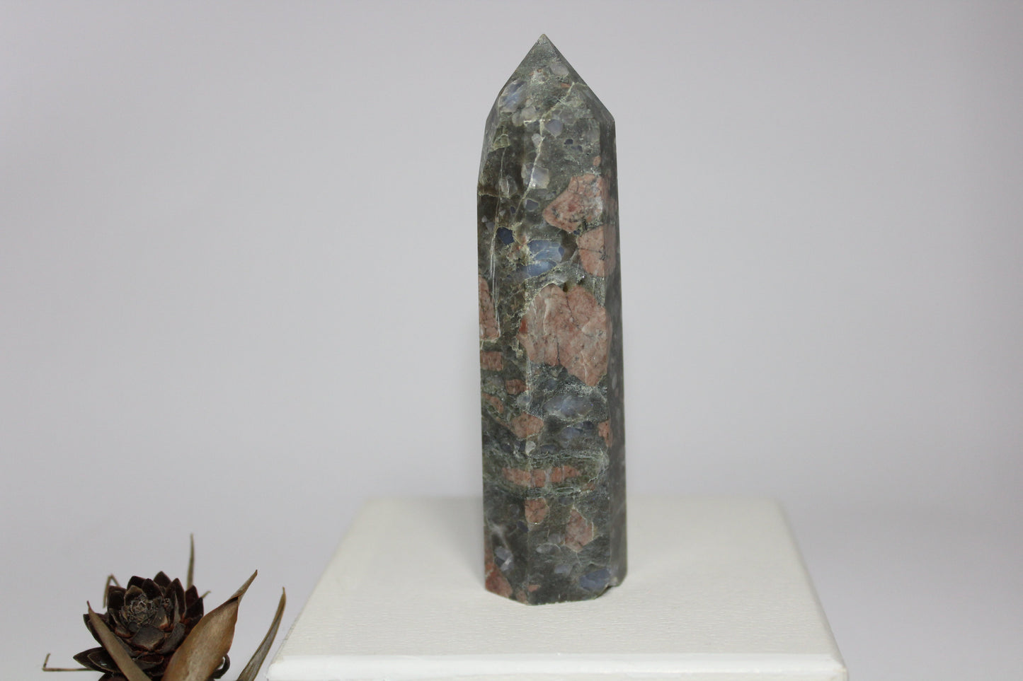 Generator - Que Sera (Vulcanite) - med/lge