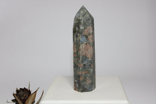 Generator - Que Sera (Vulcanite) - med/lge