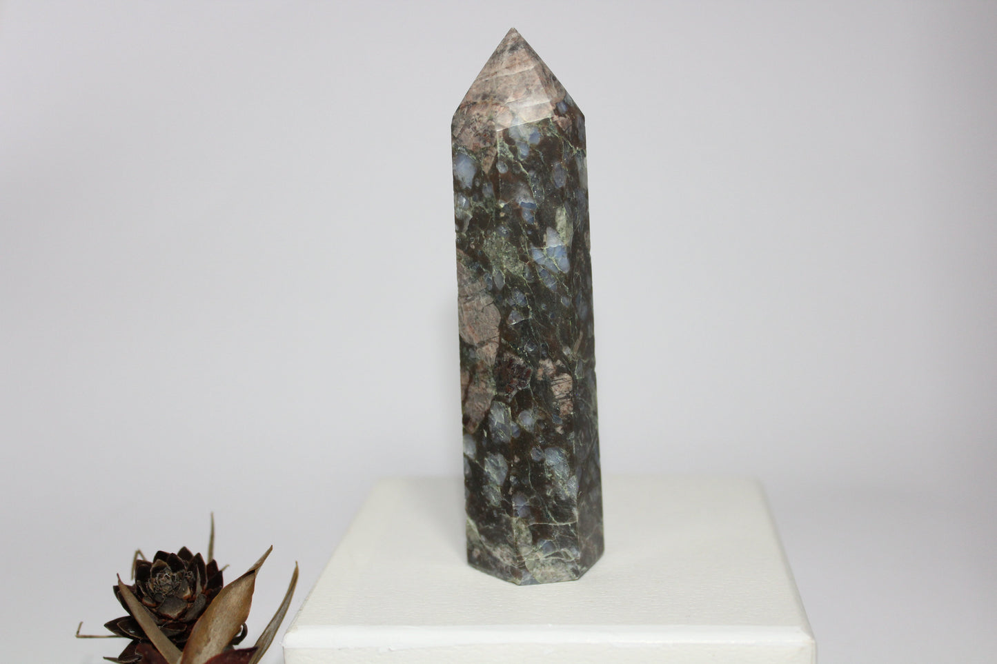 Generator - Que Sera (Vulcanite) - med/lge