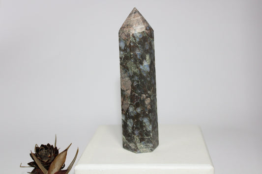 Generator - Que Sera (Vulcanite) - med/lge